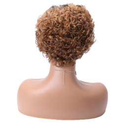 Perruque Afro-Caribéenne, Courte et Ondulée, en Cheveux Naturels, pour Femme