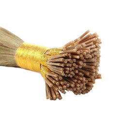 Kit d'Extension de Cheveux Blonds, pour Femme