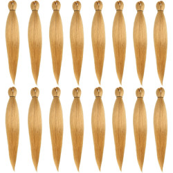 Extension de Cheveux Longs et Bicolores, pour Homme