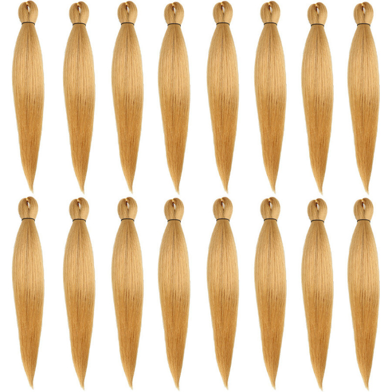 Extension de Cheveux Longs et Bicolores, pour Homme