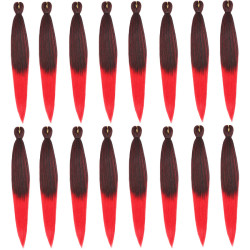 Extension de Cheveux Longs et Bicolores, pour Homme