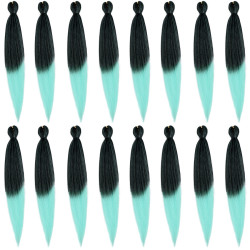 Extension de Cheveux Longs et Bicolores, pour Homme