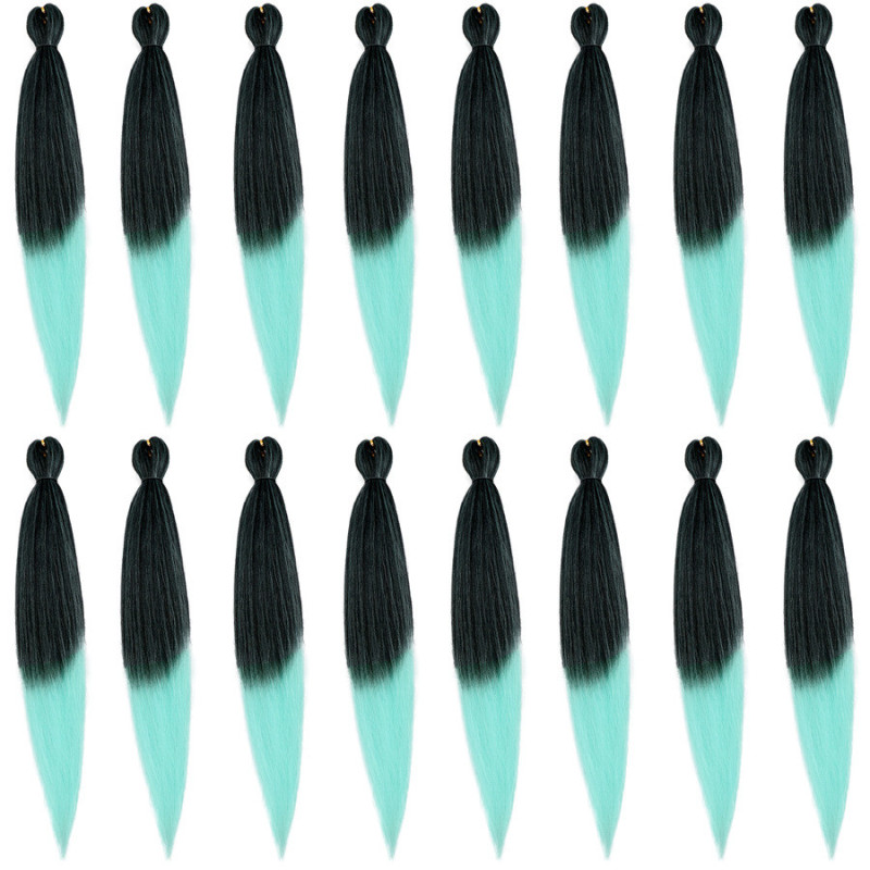 Extension de Cheveux Longs et Bicolores, pour Homme