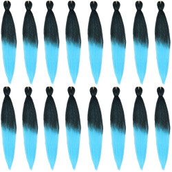 Extension de Cheveux Longs et Bicolores, pour Homme