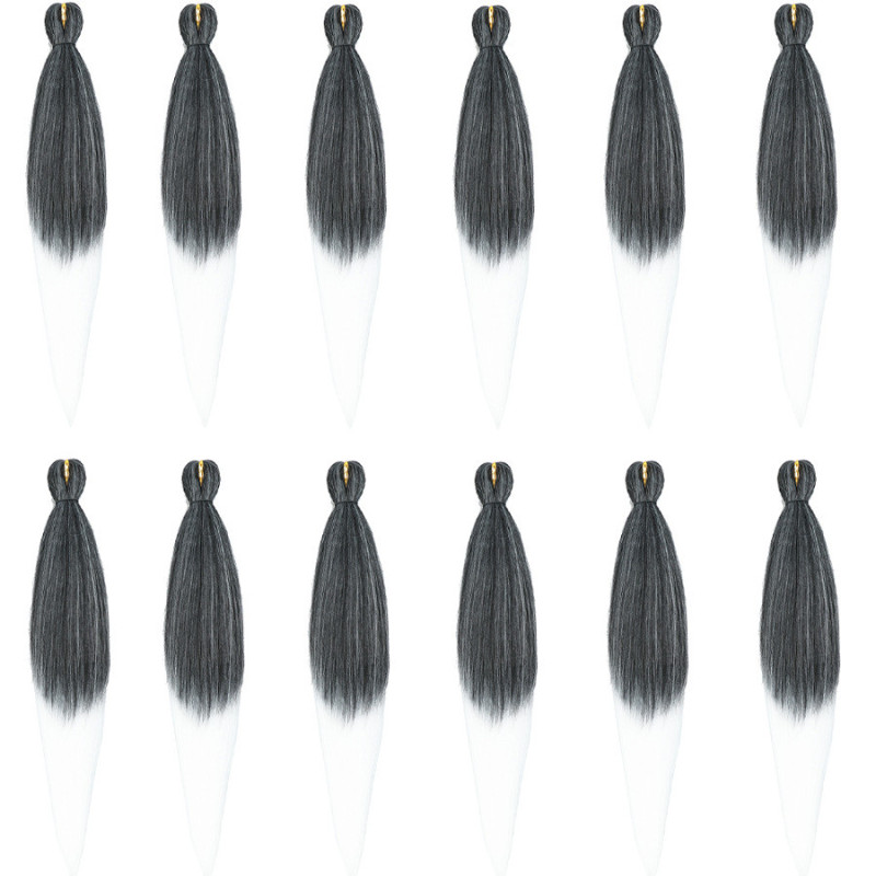 Extension de Cheveux Longs et Bicolores, pour Homme