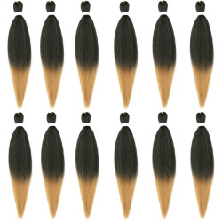 Extension de Cheveux Longs et Bicolores, pour Homme