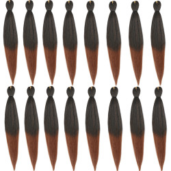 Extension de Cheveux Longs et Bicolores, pour Homme