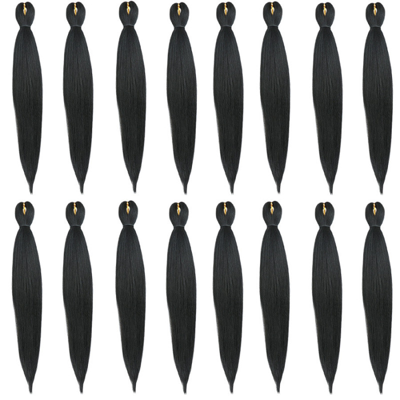 Extension de Cheveux Longs et Bicolores, pour Homme