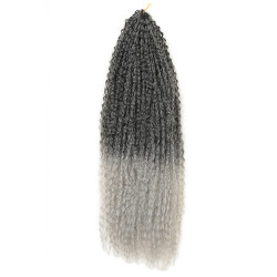 Perruque Tressée, pour Femme