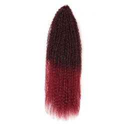 Perruque Tressée, pour Femme