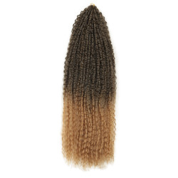 Perruque Tressée, pour Femme