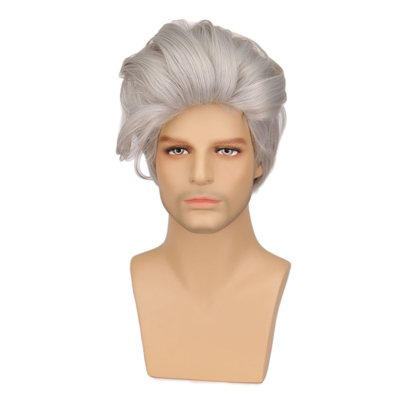 Perruque Grise et Lisse, pour Homme