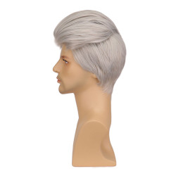 Perruque Grise et Lisse, pour Homme