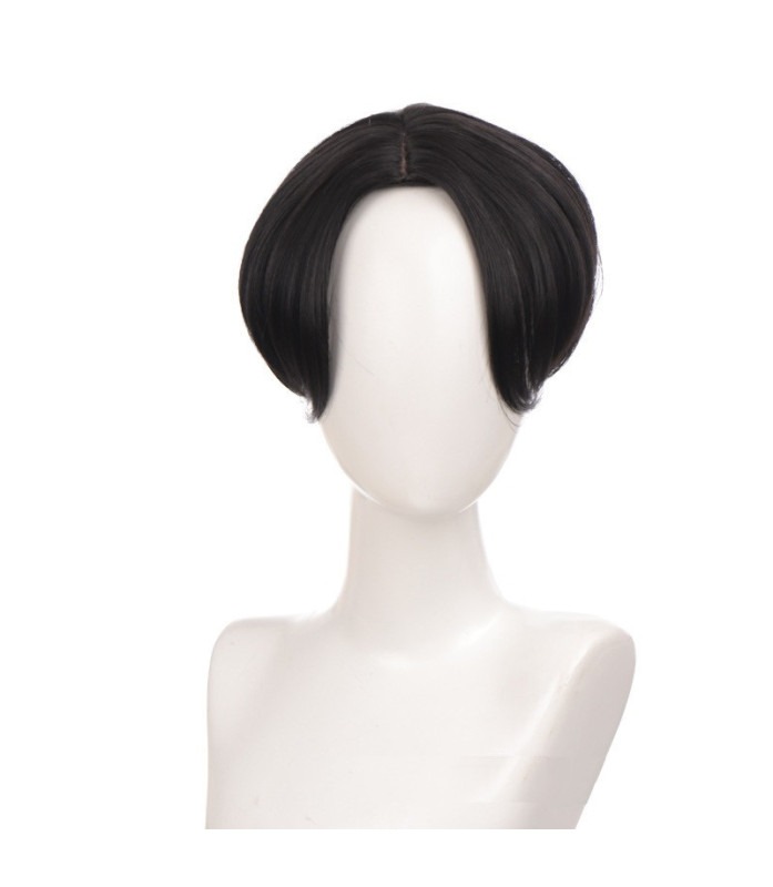 Perruque Noire et Lisse, pour Homme