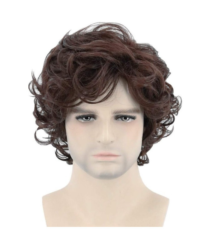Perruque Brune, Longue et Bouclée, pour Homme