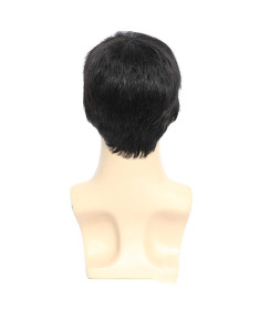Perruque Noire et Courte, pour Homme