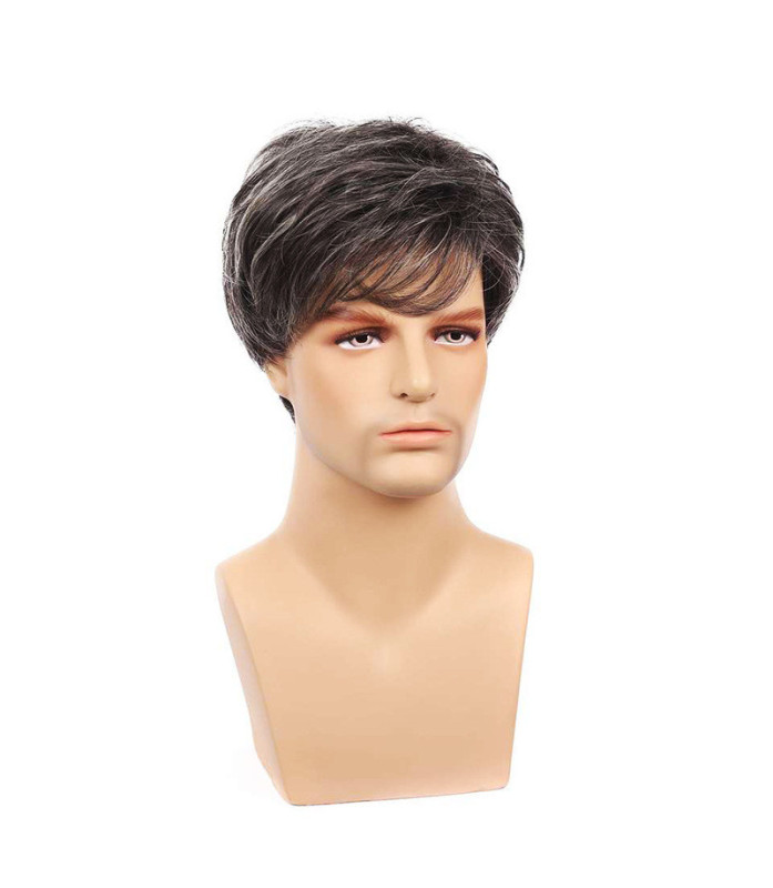 Perruque Gris Foncé, Courte et Lisse, pour Homme