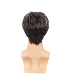 Perruque Gris Foncé, Courte et Lisse, pour Homme