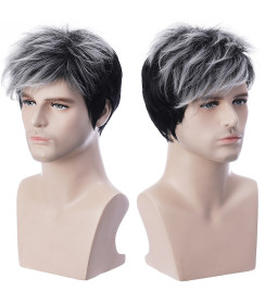 Perruque Cosplay Gris Foncé, pour homme