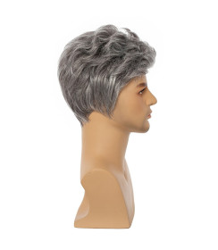 Perruque Cosplay Grise et Courte, pour Homme