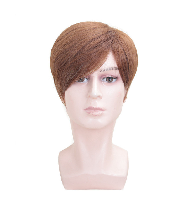 Perruque Brun Clair, Courte et Lisse, pour Homme