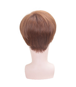 Perruque Brun Clair, Courte et Lisse, pour Homme