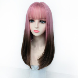Perruque Rose Ombré, Longue et Lisse, pour Femme