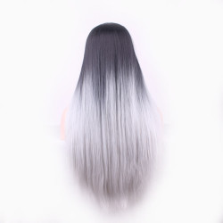 Perruque Noire et Argentée, Longue et Lisse, pour Femme
